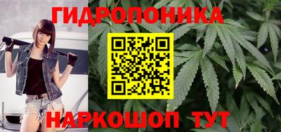 ГАЛЛЮЦИНОГЕННЫЕ ГРИБЫ Моздок