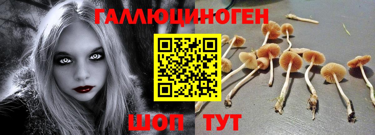 Псилоцибиновые грибы Psilocybe  Вход с VPN  купить наркоту  Псилоцибиновые грибы мухоморы  Южноуральск 