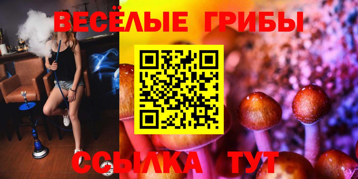 Галлюциногенные грибы мухоморы Южноуральск